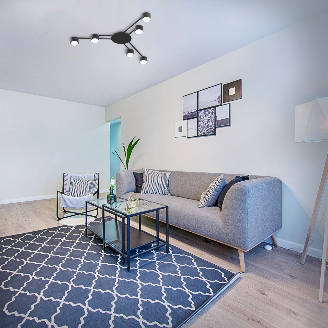 Потужний 6-ламповий світильник GX53 у чорному кольорі - Зображення 3